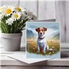 Greeting Card Matt 145x145mm - JR(27)