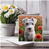 Greeting Card Matt 145x145mm - JR(28)