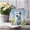 Greeting Card Matt 145x145mm - JR(36)