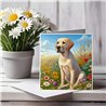Greeting Card Matt 145x145mm - Lab(1)