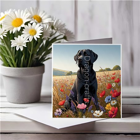 Greeting Card Matt 145x145mm - Lab(10)