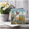 Greeting Card Matt 145x145mm - Lab(12)