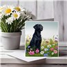 Greeting Card Matt 145x145mm - Lab(6)