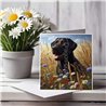 Greeting Card Matt 145x145mm - Lab(8)