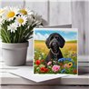 Greeting Card Matt 145x145mm - LDOO(5)