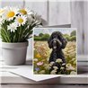 Greeting Card Matt 145x145mm - LDOO(7)