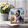 Greeting Card Matt 145x145mm - OES(4)