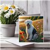 Greeting Card Matt 145x145mm - OES(5)