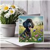 Greeting Card Matt 145x145mm - Poo(6)