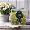 Greeting Card Matt 145x145mm - Poo(8)