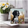 Greeting Card Matt 145x145mm - Spring(19)