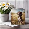 Greeting Card Matt 145x145mm - Spring(2)