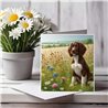 Greeting Card Matt 145x145mm - Spring(8)