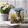 Greeting Card Matt 145x145mm - Staf(8)