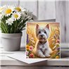 Greeting Card Matt 145x145mm - West(1)