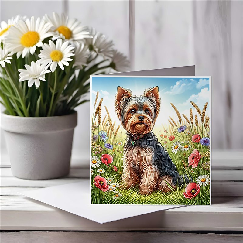 Greeting Card Matt 145x145mm - York(3)