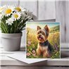 Greeting Card Matt 145x145mm - York(4)