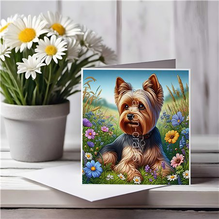 Greeting Card Matt 145x145mm - York(6)