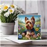 Greeting Card Matt 145x145mm - York(6)