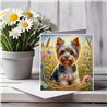 Greeting Card Matt 145x145mm - York(8)