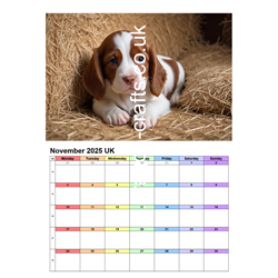 Calendar - In the Barn 