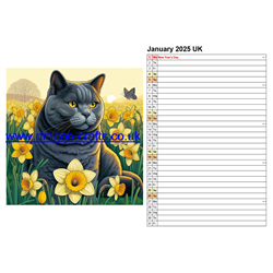 Calendar - Countryside Cats