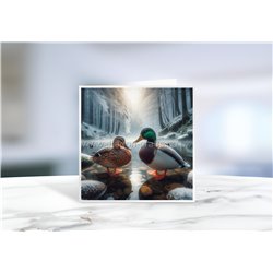 Greeting Card - Matt - 145x145mmduck (1)