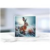 Greeting Card - Matt - 145x145mmhare (11)