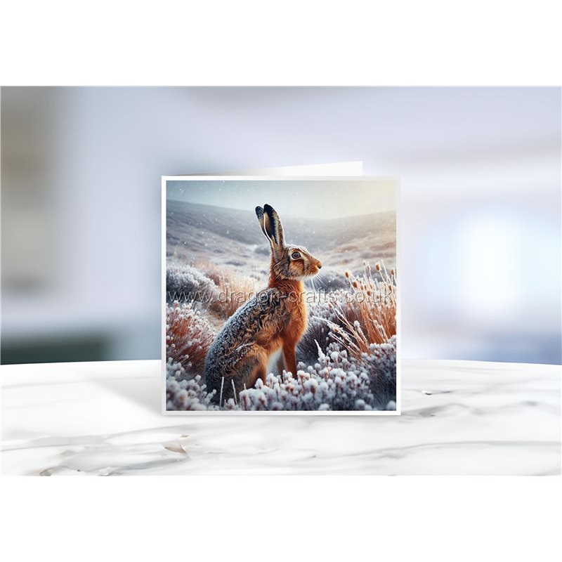 Greeting Card - Matt - 145x145mmhare (14)