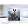 Greeting Card - Matt - 145x145mmhare (4)