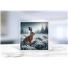 Greeting Card - Matt - 145x145mmhare (6)