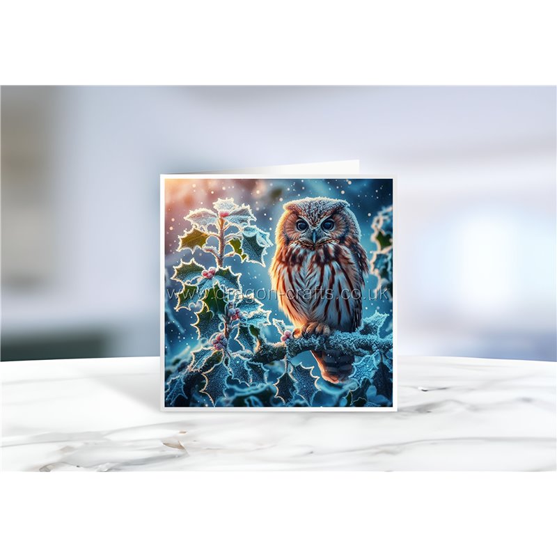 Greeting Card - Matt - 145x145mmOwl (1)