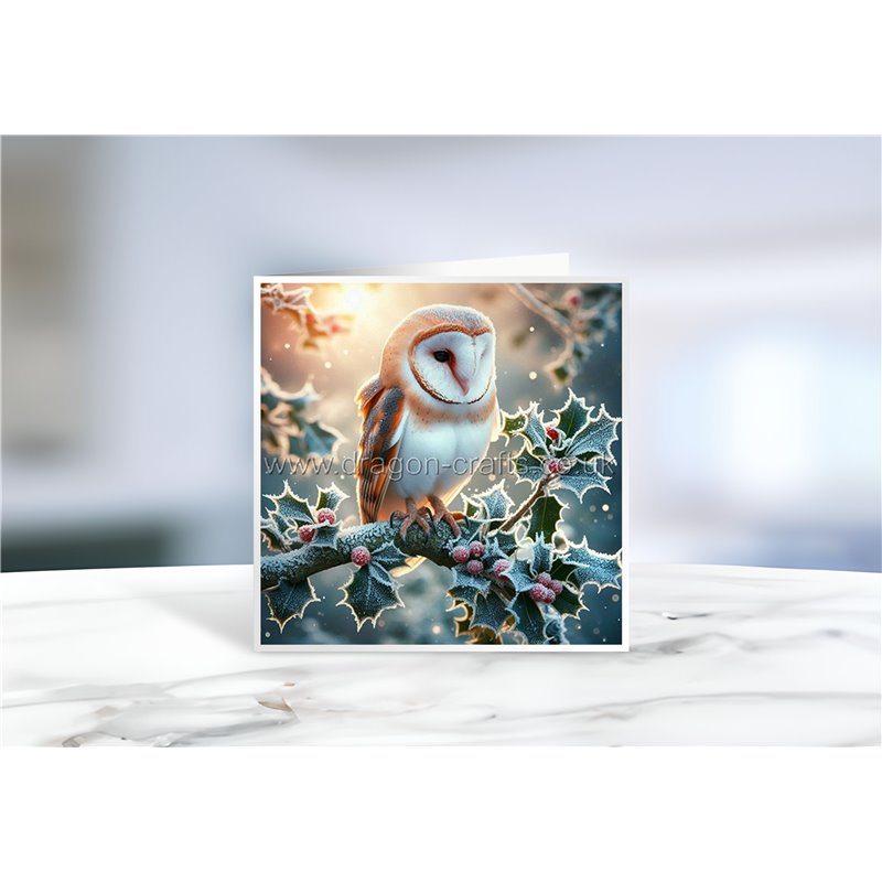 Greeting Card - Matt - 145x145mmOwl (16)