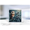 Greeting Card - Matt - 145x145mmOwl (17)