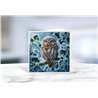 Greeting Card - Matt - 145x145mmOwl (18)