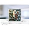 Greeting Card - Matt - 145x145mmOwl (2)