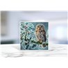 Greeting Card - Matt - 145x145mmOwl (20)