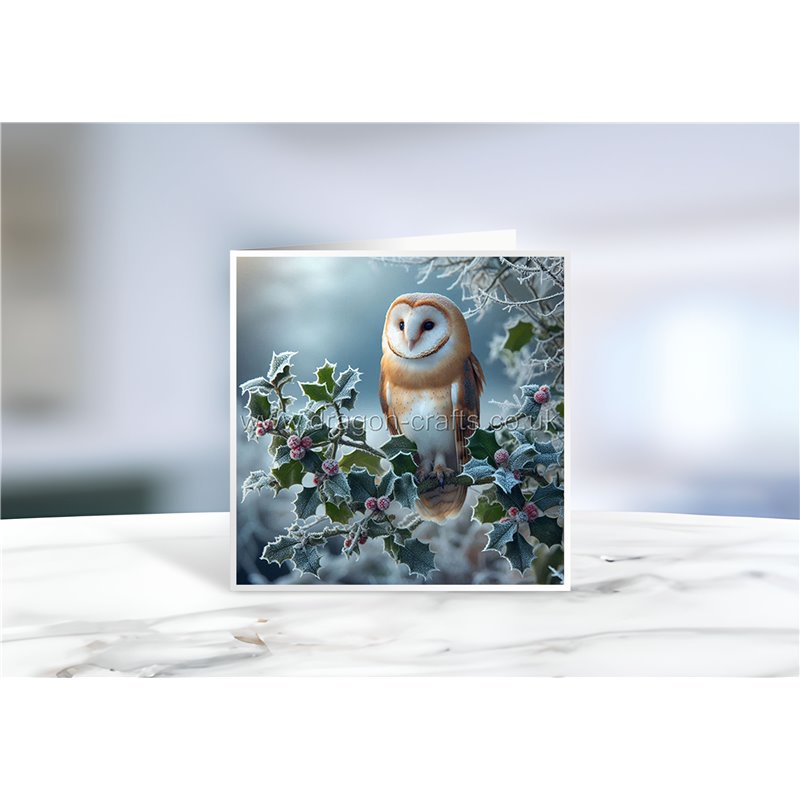 Greeting Card - Matt - 145x145mmOwl (3)