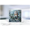 Greeting Card - Matt - 145x145mmOwl (3)