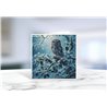 Greeting Card - Matt - 145x145mmOwl (4)