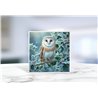 Greeting Card - Matt - 145x145mmOwl (6)