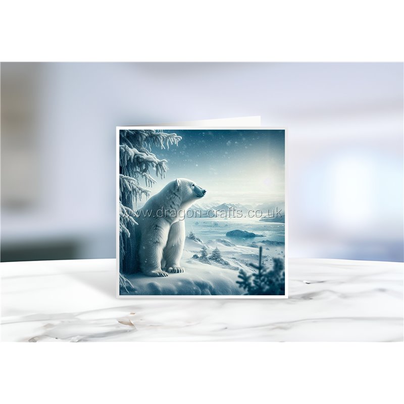 Greeting Card - Matt - 145x145mmPolar (1)