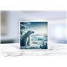 Greeting Card - Matt - 145x145mmPolar (1)