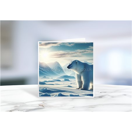 Greeting Card - Matt - 145x145mmPolar (10)