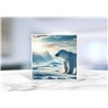Greeting Card - Matt - 145x145mmPolar (10)