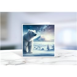 Greeting Card - Matt - 145x145mmPolar (11)