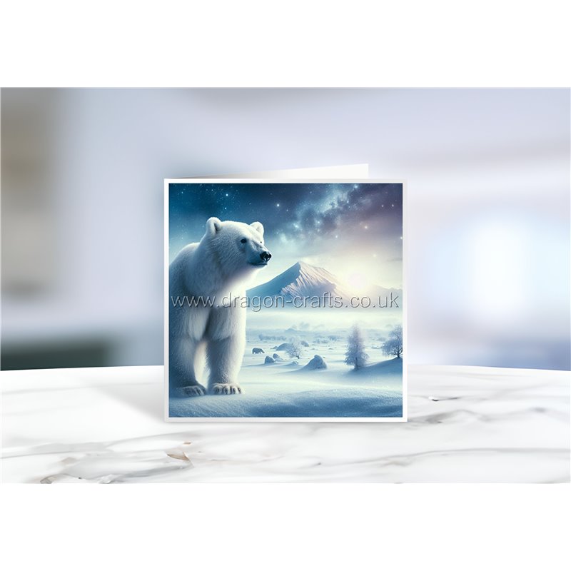 Greeting Card - Matt - 145x145mmPolar (11)