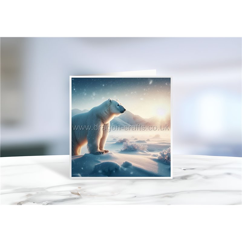 Greeting Card - Matt - 145x145mmPolar (13)