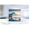 Greeting Card - Matt - 145x145mmPolar (13)