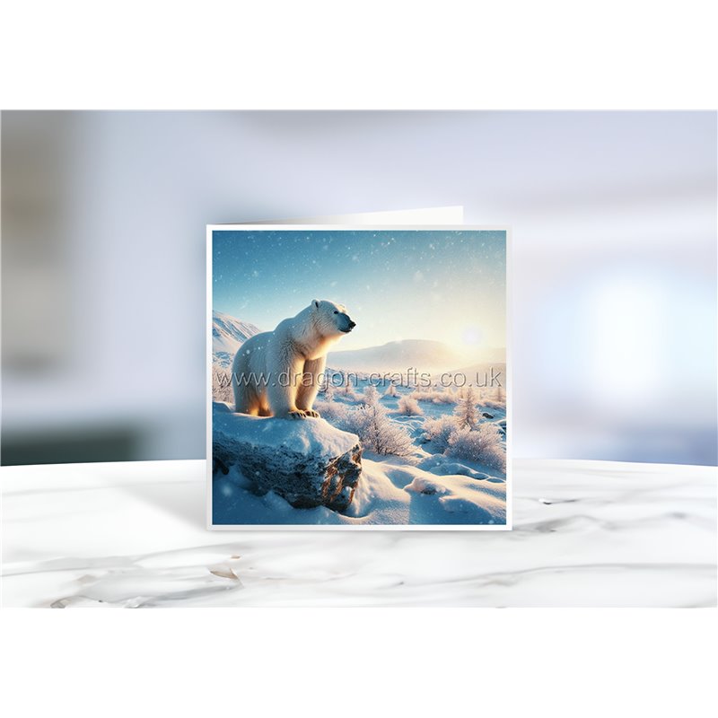 Greeting Card - Matt - 145x145mmPolar (14)